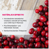 Dr. B&ouml;hm Cranberry plus, 10 Stk., Apomedica Pharmazeutische Produkte GmbH