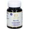 MA 579