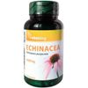 Echinacea 1000mg, 90 Stk., Vitaking GmbH