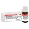 RHUS TOXICODENDRON D12