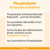 Dr. Jacob's Eisen-Phospholipid Mango Pulver liposomal vegan, 64 g, Dr. Jacob's Medical GmbH