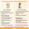 Dr. Jacob's Eisen-Phospholipid Mango Pulver liposomal vegan, 64 g, Dr. Jacob's Medical GmbH