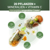 PADMA 28 ACTIVE, 100 Stk., Hager Pharma GmbH