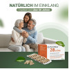PADMA 28 ACTIVE, 100 Stk., Hager Pharma GmbH