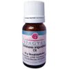 ECHINACEA ANGUSTIFOLIA C6