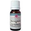 RHUS TOXICODENDRON C6