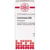 LAUROCERASUS D30, 10 g, Dhu-Arzneimittel GmbH & Co. KG