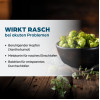 Dr. B&ouml;hm Einschlaf plus, 30 st, Apomedica Pharmazeutische Produkte GmbH