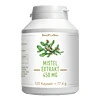Mistelextrakt 450 mg MONO, 120 Stk., SinoPlaSan GmbH