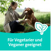 Grippostad Complex ASS/Pseudoephedrinhydrochlorid, 10 Stk., STADA Consumer Health Deutschland GmbH