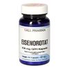 EISENOROTAT 105MG GPH KAPSELN