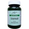 PASSIONSBLUME 500 MG EXTRAKT KAPSELN