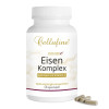 Cellufine Eisen-Komplex