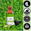 CBD27% Bio Hanfextrakt Öl - Vitadol Complex, 10 ml, Endower GmbH