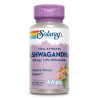 Ashwagandha Extrakt Solaray, 60 Stk., Supplementa GmbH