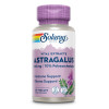 Astragalus Extrakt Solaray, 30 Stk., Supplementa GmbH