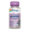 Blaubeere (Heidelbeere) Extrakt Solaray, 60 Stk., Supplementa GmbH
