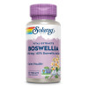 Boswellia Extrakt 450 mg (Weihrauch) Solaray, 60 Stk., Supplementa GmbH