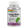 Ginkgo-Biloba Extrakt 60 mg 24%, 120 ST, Supplementa GmbH