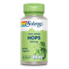 Hopfen Solaray, 100 Stk., Supplementa GmbH