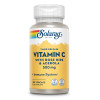 Vitamin C 500 mg mit Hageb & Acero verz&ouml;g Solaray, 100 Stk., Supplementa GmbH