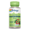 Wei&szlig;dornbeeren Solaray, 100 Stk., Supplementa GmbH