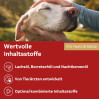 Doppelherz f&uuml;r Tiere Haut&Fell &Ouml;l f&uuml;r Katzen+Hunde, 250 ml, Queisser Pharma GmbH & Co. KG
