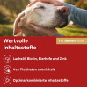 Doppelherz f&uuml;r Tiere Haut&Fell Complex f&uuml;r Hunde, 60 Stk., Queisser Pharma GmbH & Co. KG