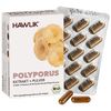 Bio Polyporus Extrakt + Pulver