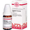 Plantago lanceolata C30 Globuli Ind-Fert, 10 g, Dhu-Arzneimittel GmbH & Co. KG