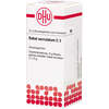 Sabal serrulatum C3 Globuli Ind-Fert, 10 g, Dhu-Arzneimittel GmbH & Co. KG