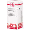 Curcuma longa C7 Globuli Ind-Fert, 10 g, Dhu-Arzneimittel GmbH & Co. KG