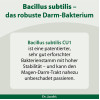 Bacillus subtilis plus Nattokinase-Enzym Vitamin K2 vegan, 60 Stk., Dr. Jacob's Medical GmbH