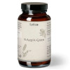 NAC N-Acetyl-L-Cystein - vegetarisch Erdling, 120 st, Alveda GmbH