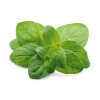 Dr. Jacob's Oregano-&Ouml;l Kapseln Carvacrol Thymol vegan, 60 Stk., Dr. Jacob's Medical GmbH