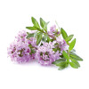Dr. Jacob's Oregano-&Ouml;l Kapseln Carvacrol Thymol vegan, 60 Stk., Dr. Jacob's Medical GmbH