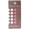 Sch&uuml;ssler 5 Kalium phosphoricum D6, 10 Gramm, Spagyra GmbH & Co. KG