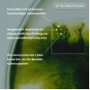 Bio-Pilixin Serum Für Männer, 100 ml, Scandinavian Biolabs ApS