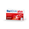 IbuHEXAL plus Paracetamol 200 mg/500 mg FTA, 10 Stk., HEXAL AG