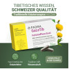 PADMA GALETIB KAPSELN, 60 Stk., Hager Pharma GmbH