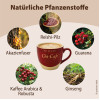 Chi-Cafe Probierpaket ReiChi Kaffee Guarana Reishi-Pilz, 1 Stk., Dr. Jacob's Medical GmbH
