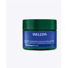 WELEDA Fest.Nachtpflege Blauer Enzian & Edelweiss, 40 Milliliter, Weleda AG