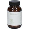 CBD VITAL Reishi & Cordyceps