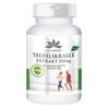Teufelskralle Extrakt 510 mg