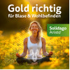 Solidago Aristo 300 mg Tabletten, 100 st, Aristo Pharma GmbH