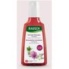 RAUSCH Volumen-Shampoo mit Malve