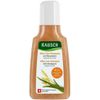 RAUSCH After-Sun-Shampoo mit Weizenkeim, 40 Milliliter, Rausch (Deutschland) GmbH