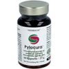 Pylocura Pro