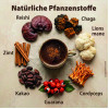 ReiChi Zen Pilz-Kaffee mit Reishi Chaga Cordyceps Lions Mane, 150 g, Dr. Jacob's Medical GmbH