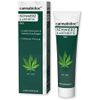 CANNABIDOC SCHMERZ&ARTHRITIS GEL, 50 Milliliter, Janus Medica GmbH